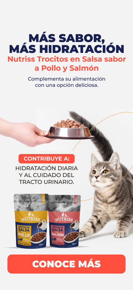 Banner: NP Home Julio Nutriss Humedo Cat